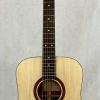 Davidson Guitars D - Style Acoustic Electric guitar with case front