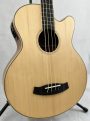Tanglewood TW8AB Acoustic Bass with Electronics