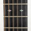 Collings D2HG Inlays