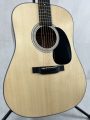 Martin D-12 with soft case