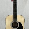 Martin D-12 with soft case front