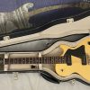 Collings 290 in case