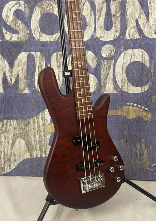 Spector bass close up