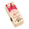 Barrows-Fuzz-Attacker-4