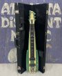 Duesenberg Fairytale Lapsteel front