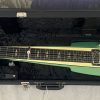 Duesenberg Fairytale Lapsteel in case