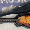 Gretsch 6124 in case